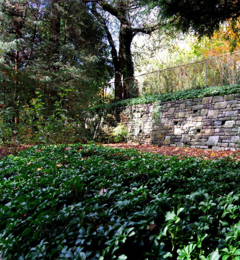 Our Work by Organic Landscapes NY By DeLuca Lawn Maintenance - Photo 3