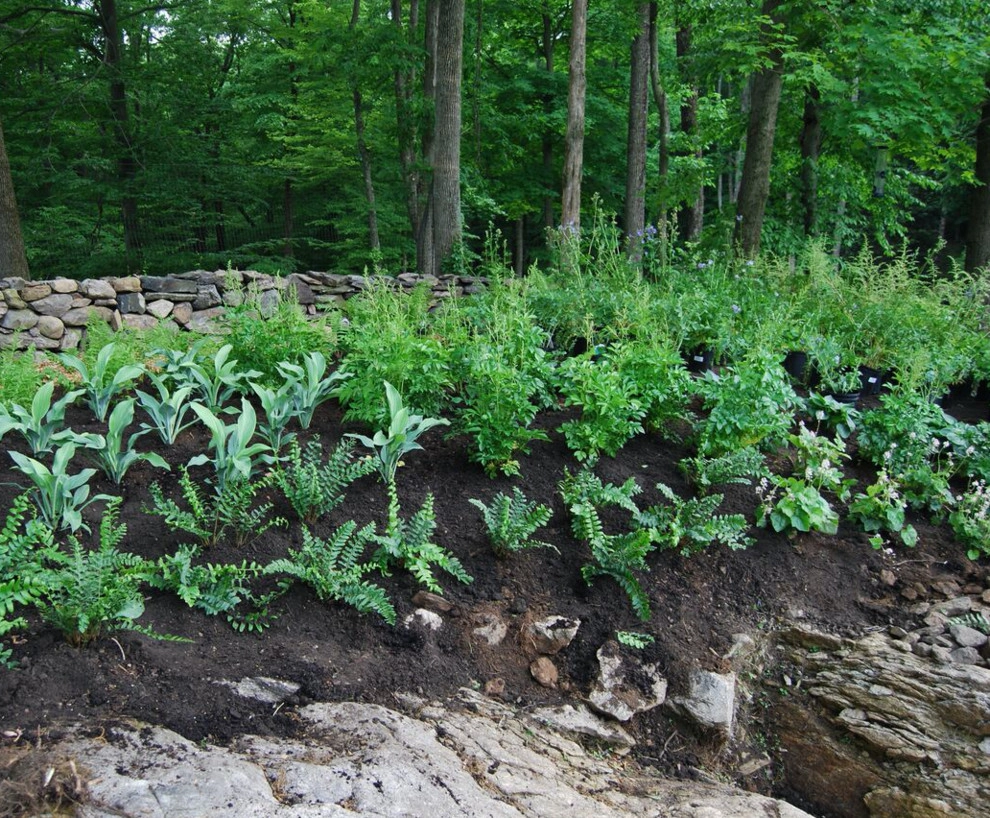 Our Work by Organic Landscapes NY By DeLuca Lawn Maintenance - Photo 7