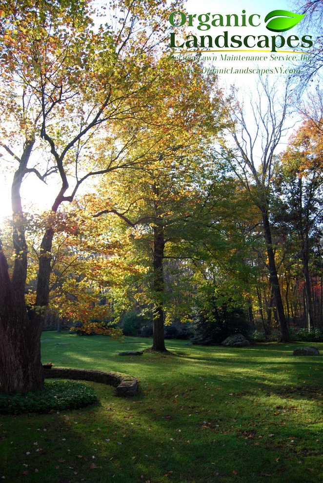 Yard & Stone Work by Organic Landscapes NY By DeLuca Lawn Maintenance - Photo 3