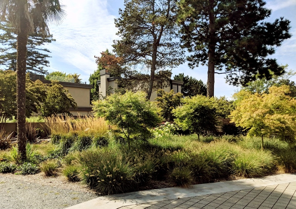 West Seattle Modern Living by Orion Rockscapes - Photo 10