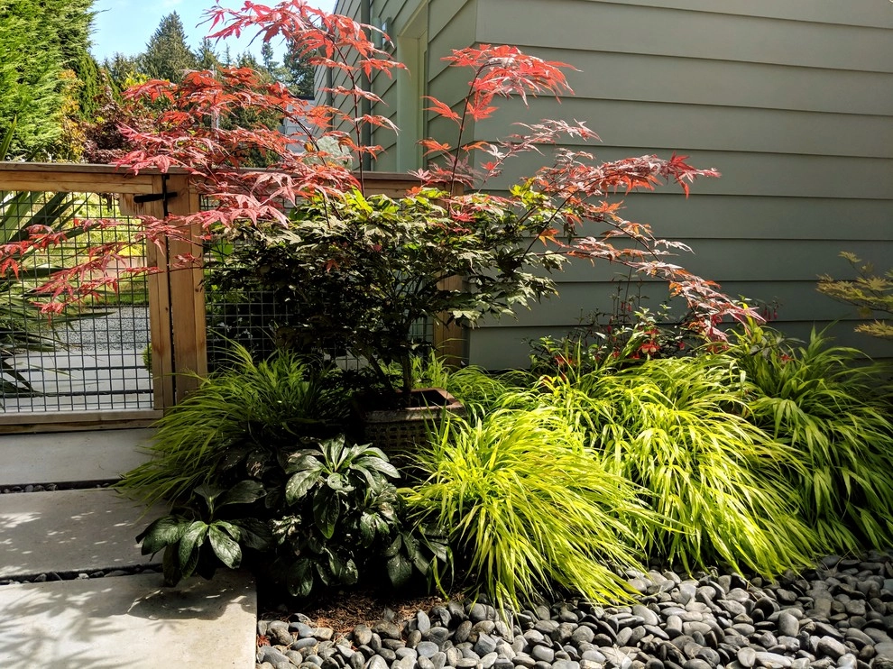 West Seattle Modern Living by Orion Rockscapes - Photo 16