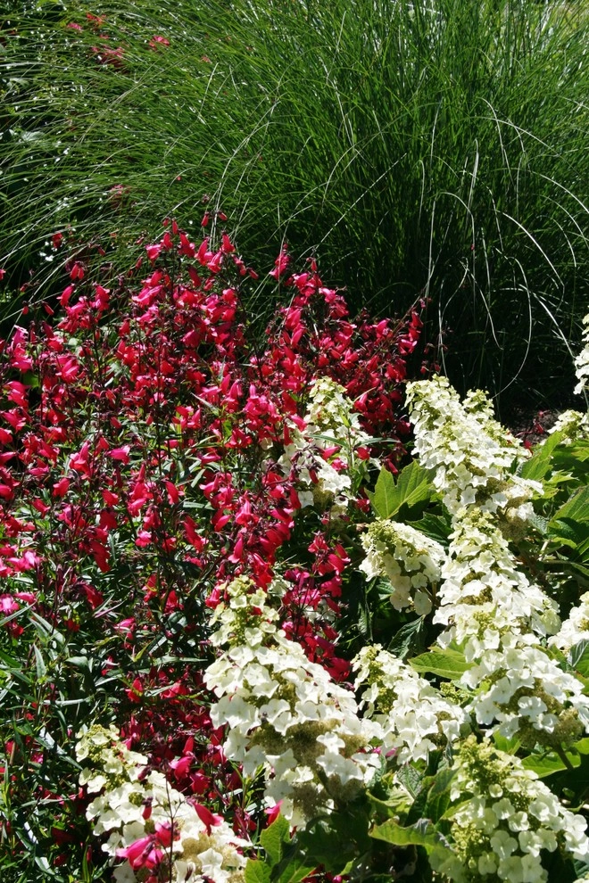 Modern Cottage Garden- Innis Arden by Orion Rockscapes - Photo 7