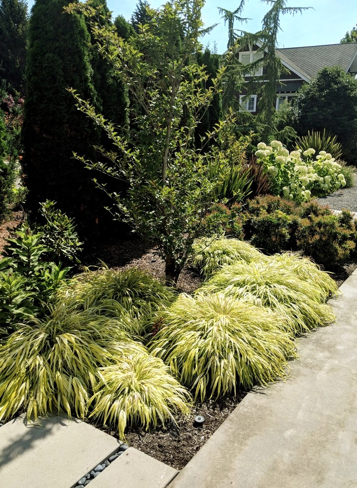 West Seattle Modern Living by Orion Rockscapes - Photo 3