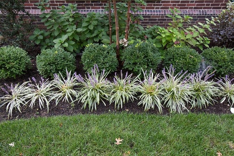 Landscape Design & Installations by Outdoor Creative Design - Photo 5