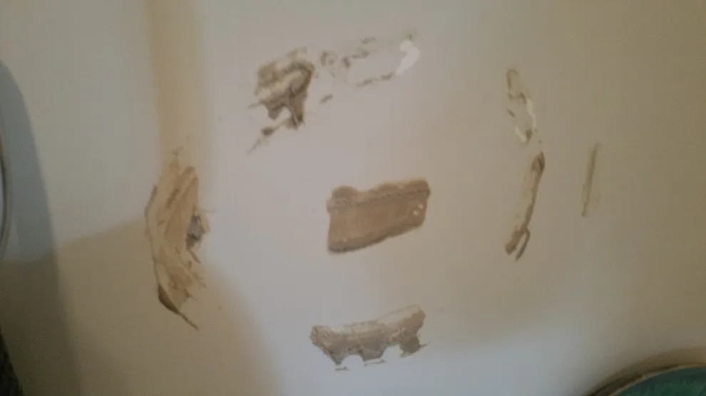 Venetian Stucco Finishes by Seamingly Straight Wallpapering And Painting - Photo 18