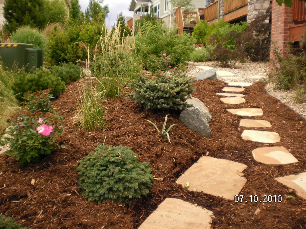 Xeriscape by Outside Dreams Landscape Design And Construction - Photo 12