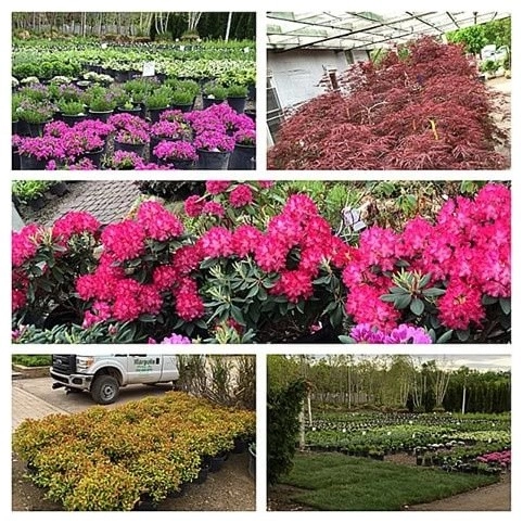 Margolis Nursery by Margolis Companies - Photo 7