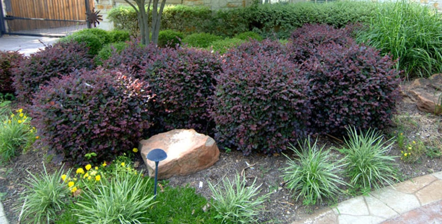 Residential Landscape by Palm Gardens - Complete Landscape Specialists - Photo 17