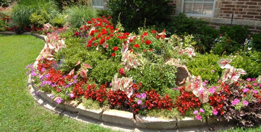 Palm Gardens - Complete Landscape Specialists - Photo 12