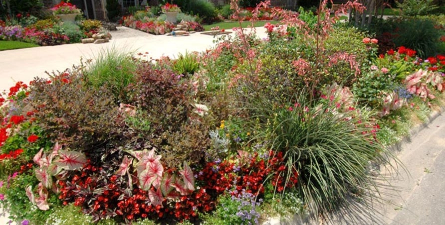 Residential Landscape by Palm Gardens - Complete Landscape Specialists - Photo 13