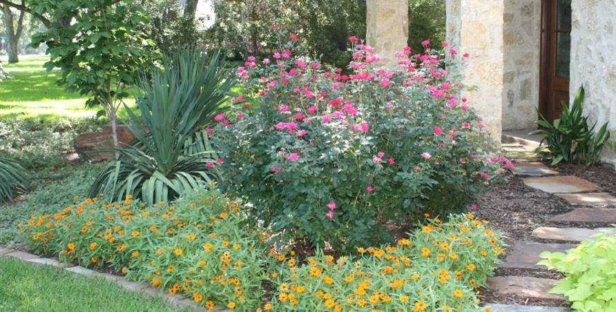 Palm Gardens - Complete Landscape Specialists - Photo 8