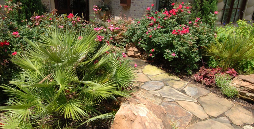 Palm Gardens - Complete Landscape Specialists - Photo 10