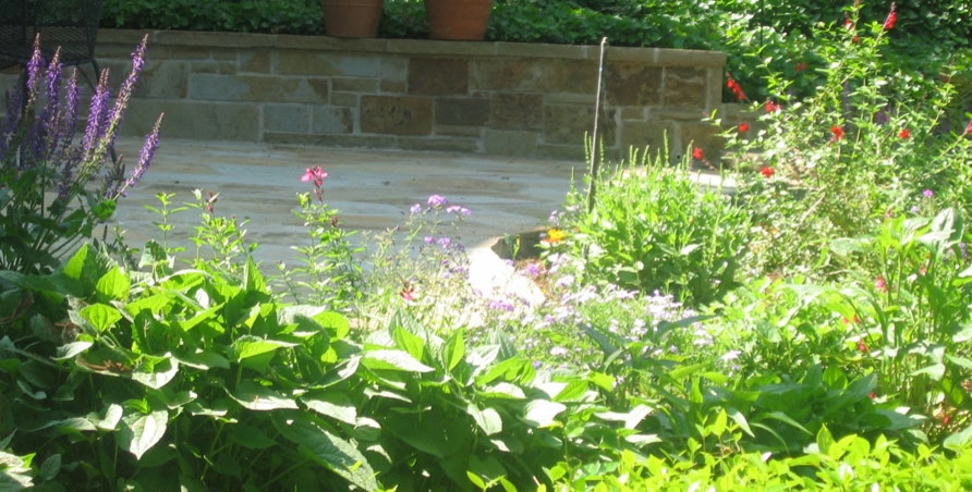 Residential Landscape by Palm Gardens - Complete Landscape Specialists - Photo 12
