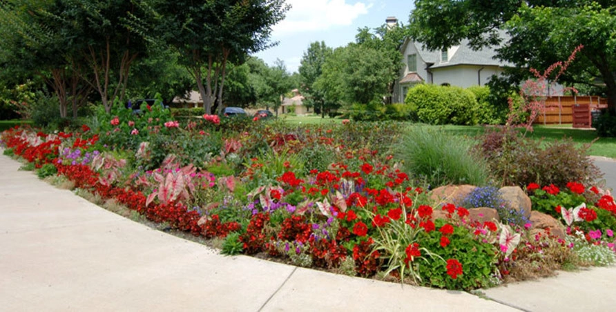 Residential Landscape by Palm Gardens - Complete Landscape Specialists - Photo 9