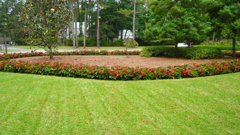Landscapes & Hardscapes by Palmetto Coastal Landscaping & Hardscapes - Photo 21