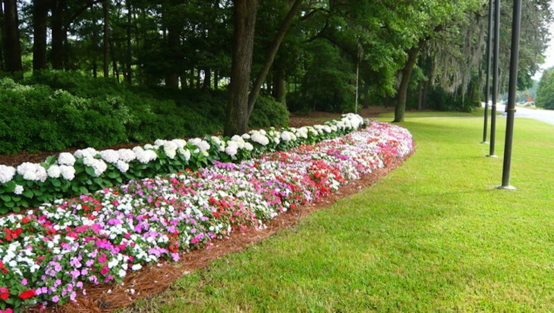 Landscapes & Hardscapes by Palmetto Coastal Landscaping & Hardscapes - Photo 12