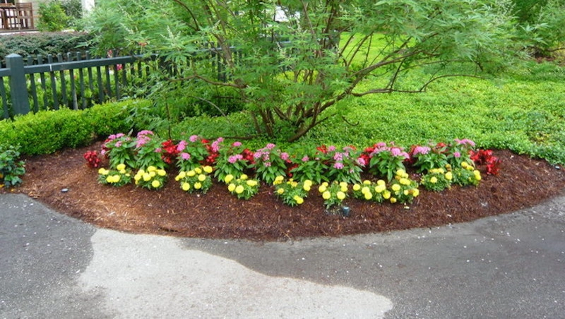 Landscapes & Hardscapes by Palmetto Coastal Landscaping & Hardscapes - Photo 13