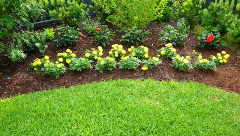 Landscapes & Hardscapes by Palmetto Coastal Landscaping & Hardscapes - Photo 9