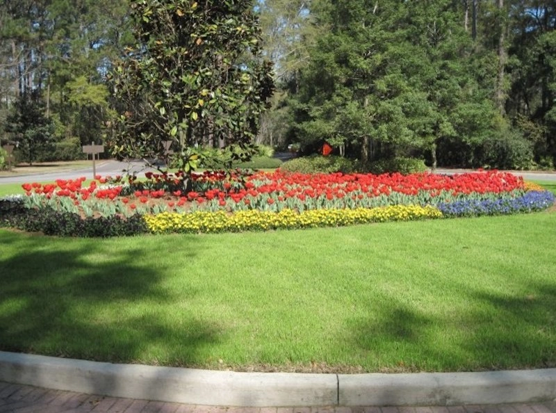 Palmetto Coastal Landscaping & Hardscapes - Photo 6