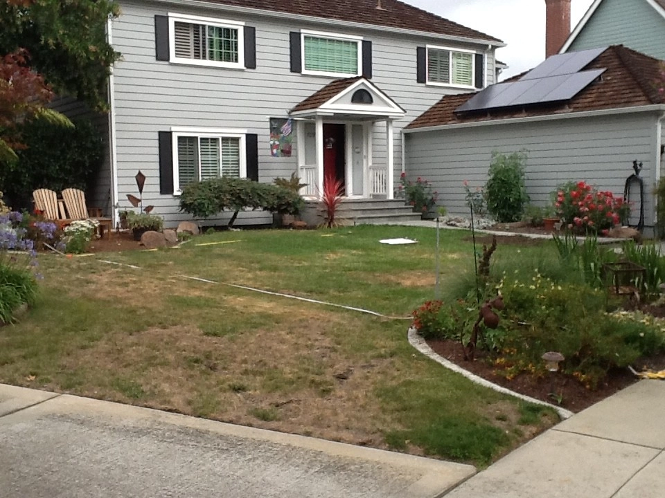 Renovating Two Front Yards- Goodbye Lawn! by Paradise Garden & Landscape - Photo 2