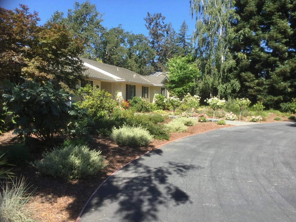 Menlo Park Lawn Replacement by Paradise Garden & Landscape - Photo 2