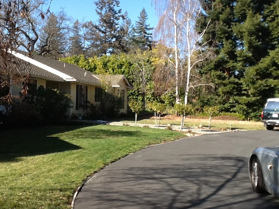 Menlo Park Lawn Replacement by Paradise Garden & Landscape - Photo 4