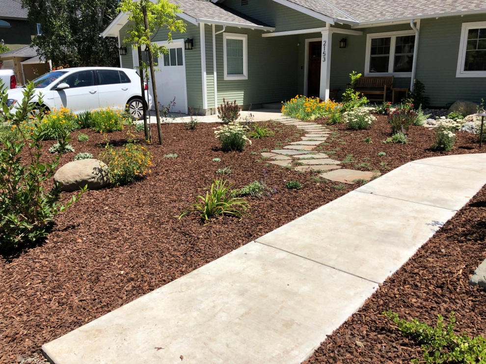 Mountain View Low Water Pollinator Garden by Paradise Garden & Landscape - Photo 6