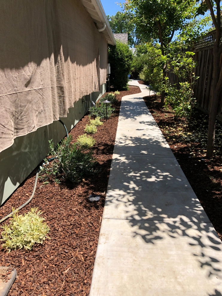 Mountain View Low Water Pollinator Garden by Paradise Garden & Landscape - Photo 3
