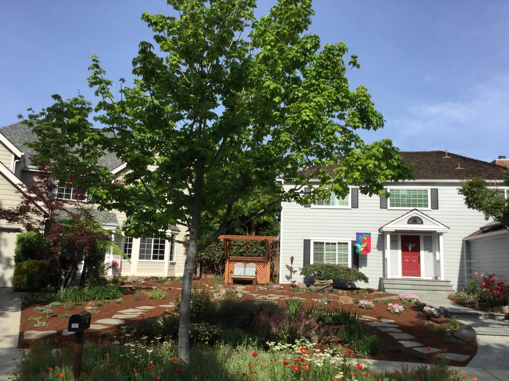 Renovating Two Front Yards- Goodbye Lawn! by Paradise Garden & Landscape - Photo 5