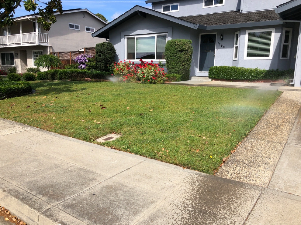 Lawn Conversion Before and After by Paradise Garden & Landscape - Photo 3