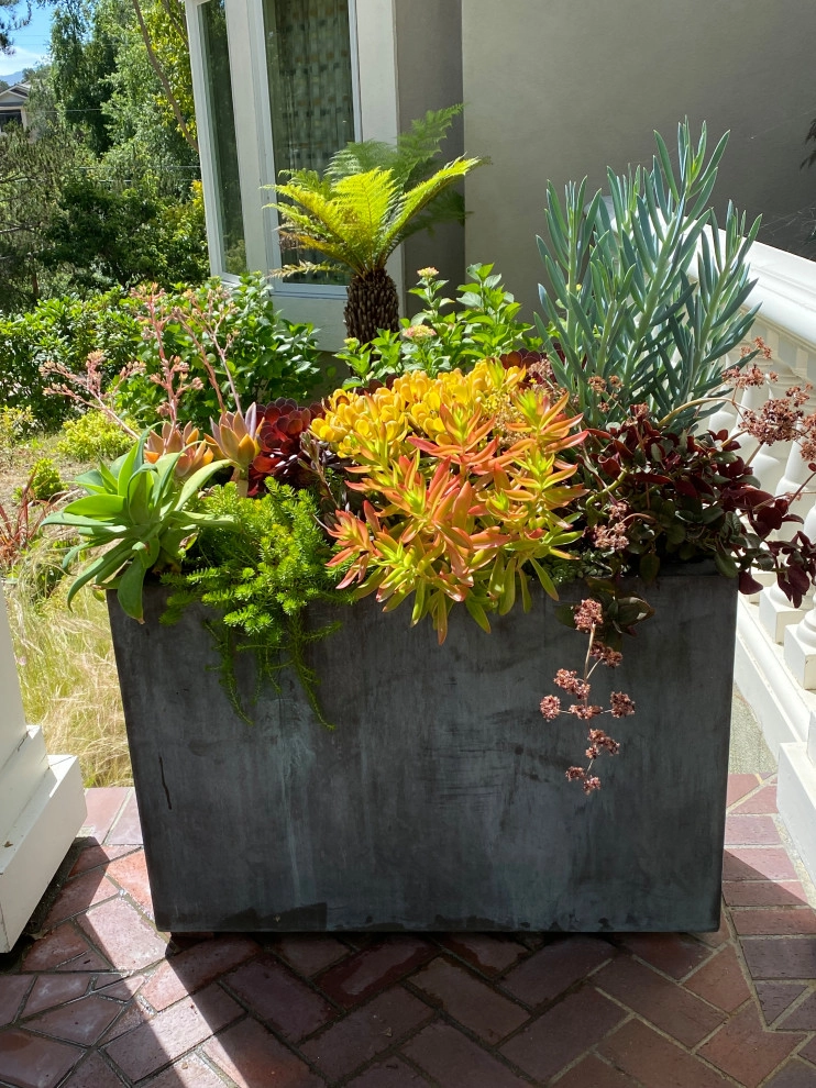 Monte Sereno Landscape by Paradise Garden & Landscape - Photo 2