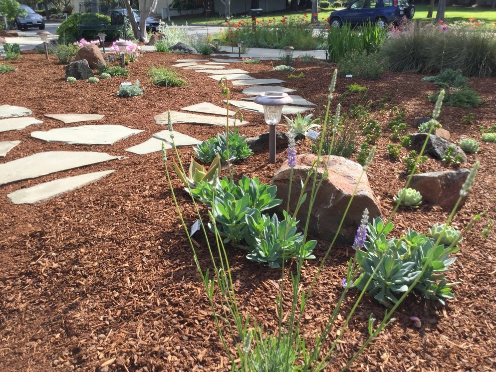 Renovating Two Front Yards- Goodbye Lawn! by Paradise Garden & Landscape - Photo 4