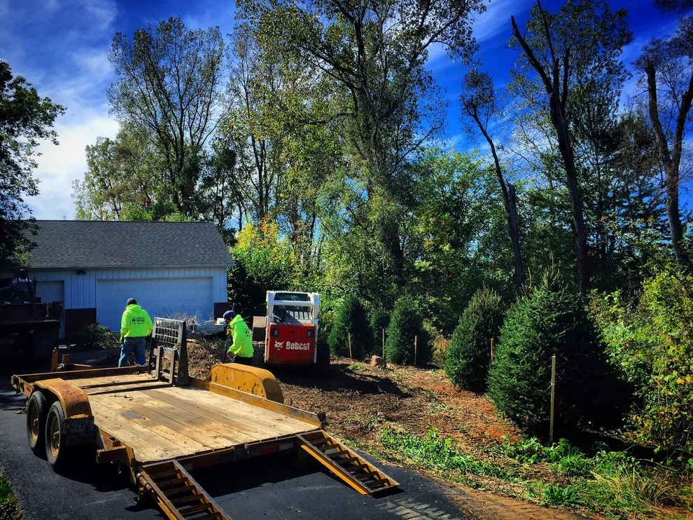Residential Landscaping by Margolis Companies - Photo 4
