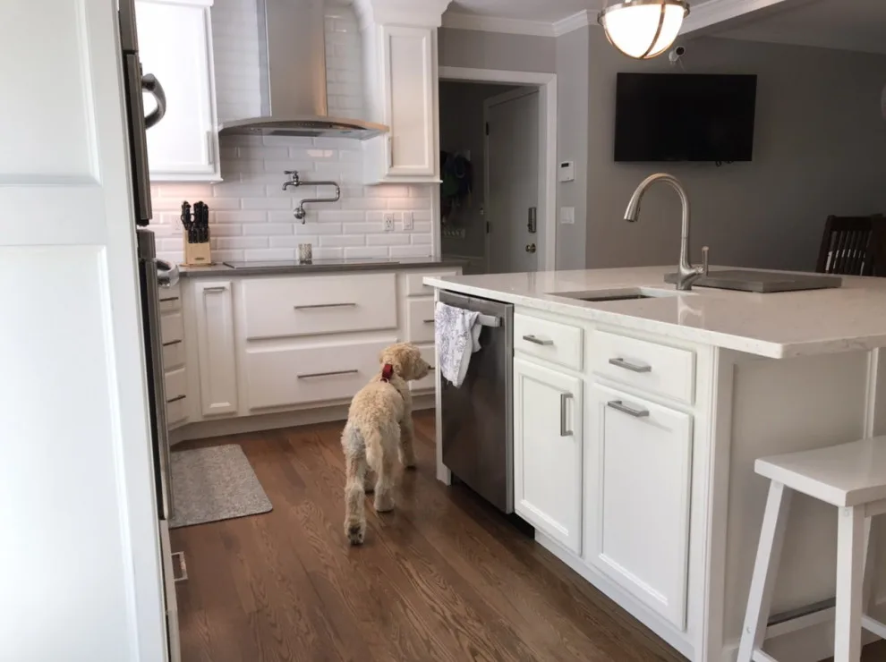 Wellborn Kitchen Renovation by Fiderio & Sons - Photo 2