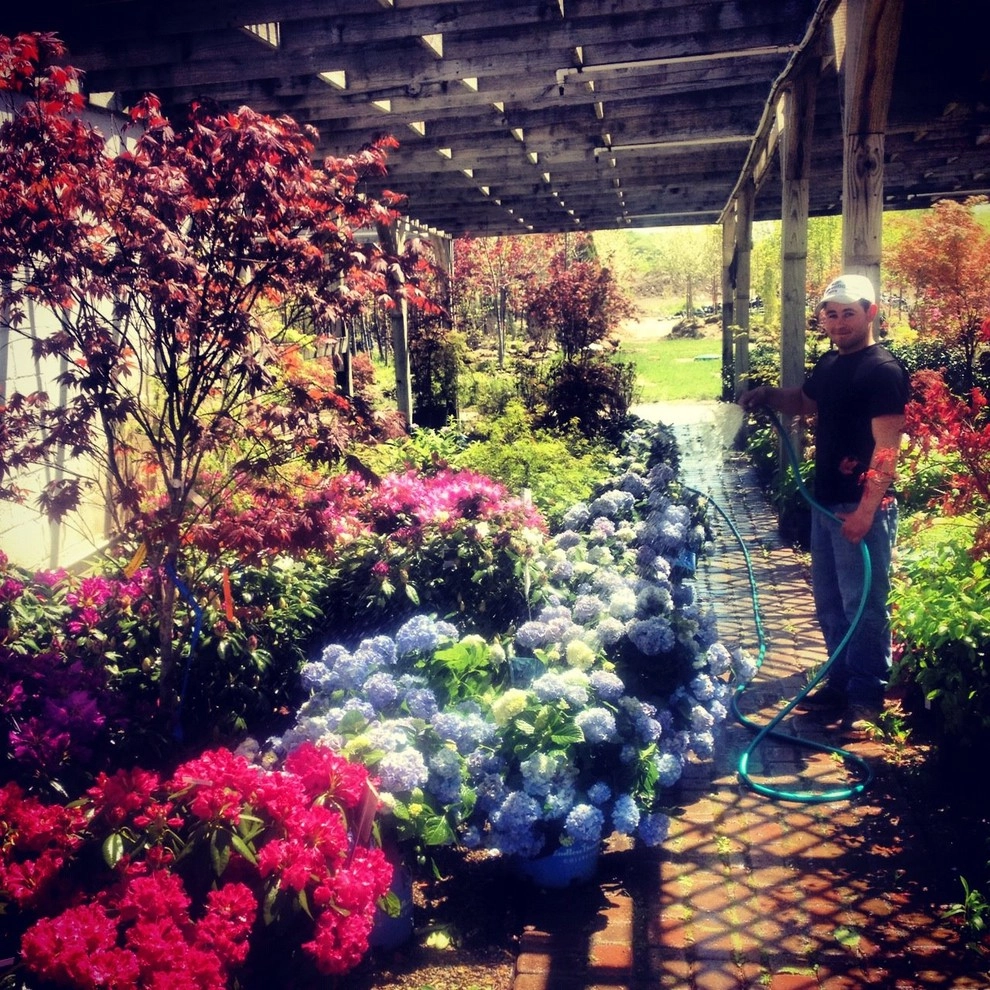 Margolis Nursery by Margolis Companies - Photo 13