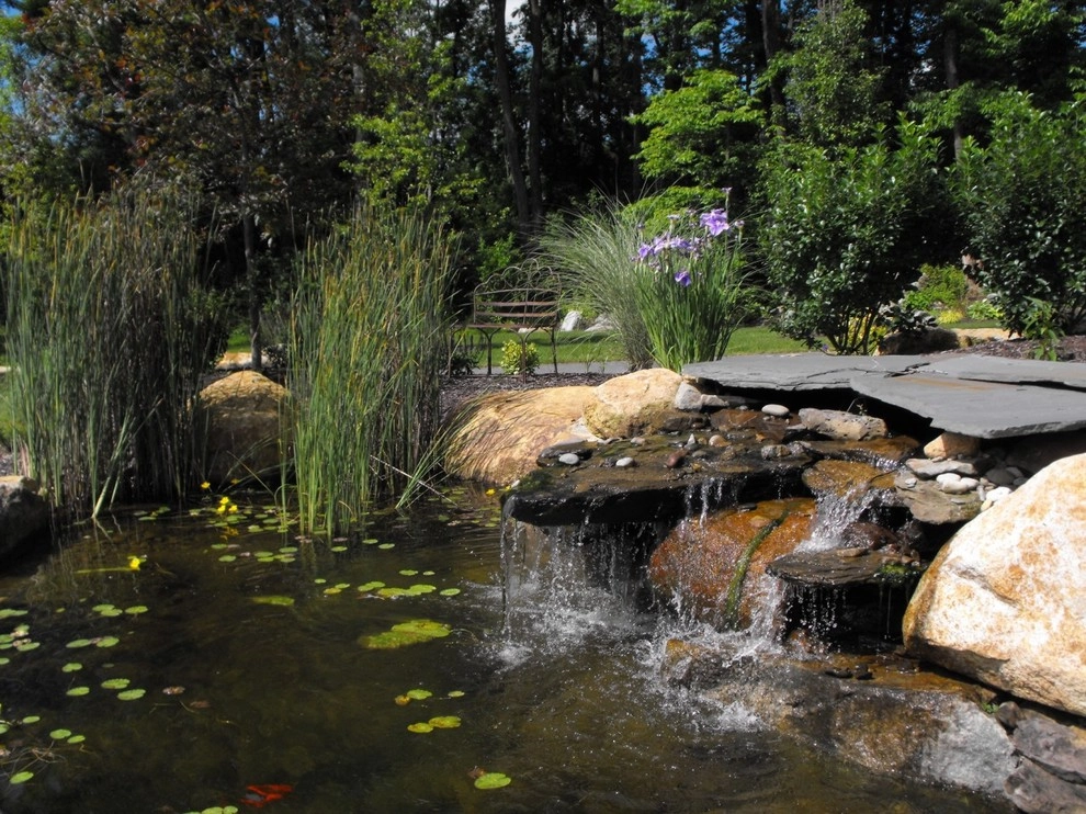 y2010 ALE: Water Garden Welcome by Pennsylvania Landscape & Nursery Association - Photo 3