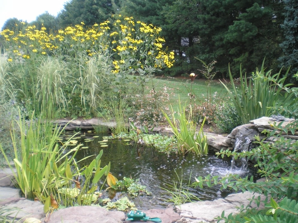 y2010 ALE: Moyer Residence by Pennsylvania Landscape & Nursery Association - Photo 4