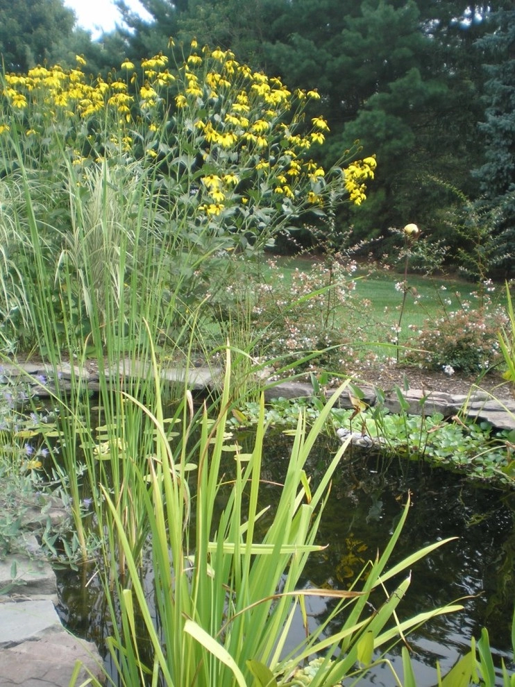 y2010 ALE: Moyer Residence by Pennsylvania Landscape & Nursery Association - Photo 10