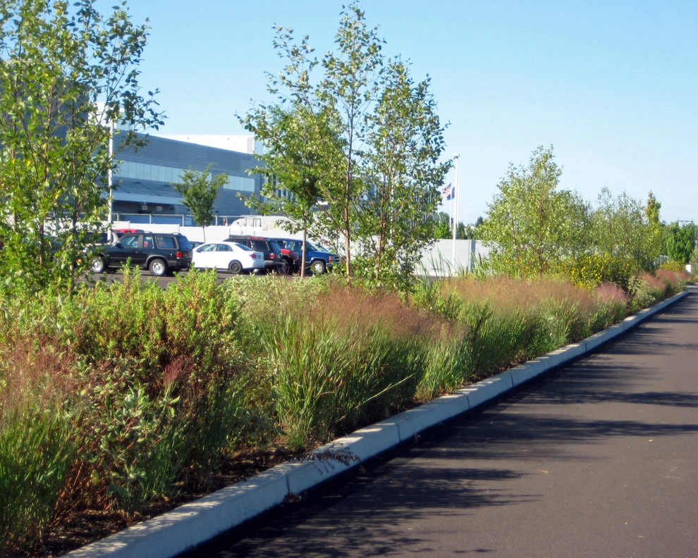 w2012 ALE: Almac North American Headquarters by Pennsylvania Landscape & Nursery Association - Photo 3