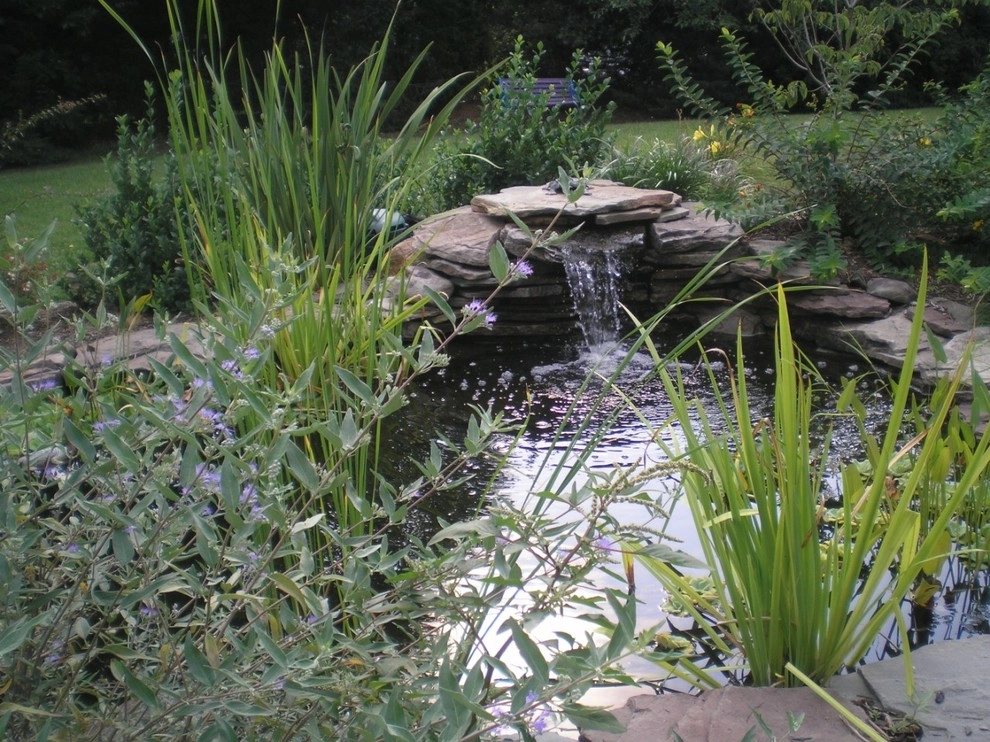 y2010 ALE: Moyer Residence by Pennsylvania Landscape & Nursery Association - Photo 3