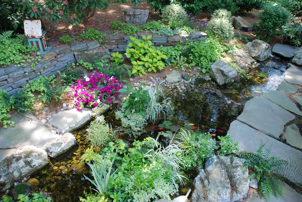 w2012 ALE: Backyard Stream Garden by Pennsylvania Landscape & Nursery Association - Photo 2