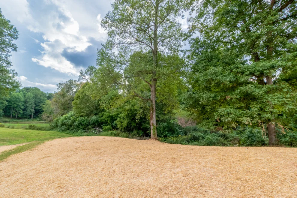 Whitewood Farms 2022 by BRM Homes LLC. - Photo 50