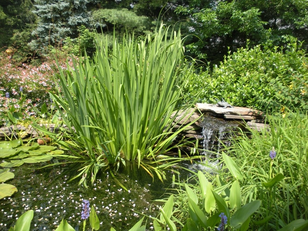 y2010 ALE: Moyer Residence by Pennsylvania Landscape & Nursery Association - Photo 9