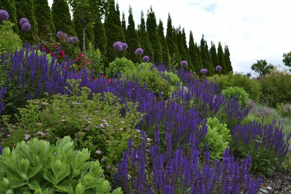 v2013 ALE: The Waverly Residence by Pennsylvania Landscape & Nursery Association - Photo 5
