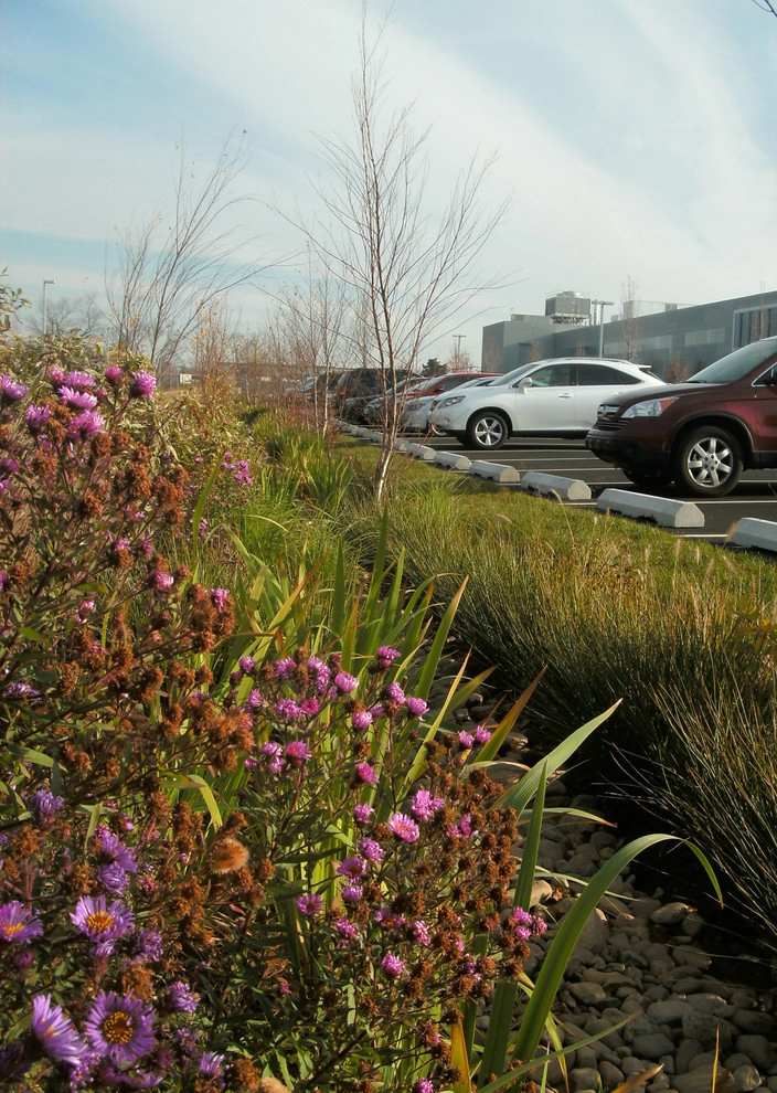 w2012 ALE: Almac North American Headquarters by Pennsylvania Landscape & Nursery Association - Photo 10
