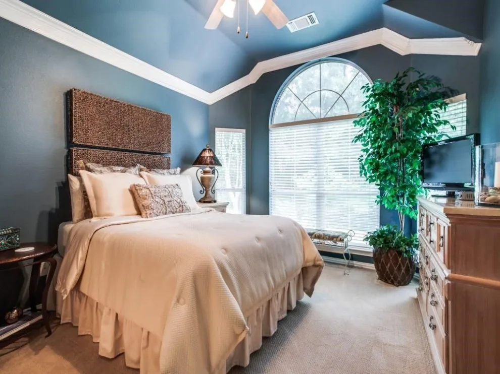 Complete Home Renovations by Alcova Construction - Photo 6