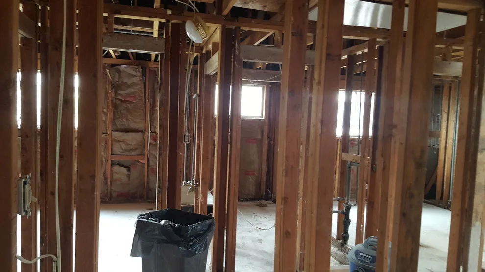 Complete Home Renovation by Blank Slate Builders - Photo 21