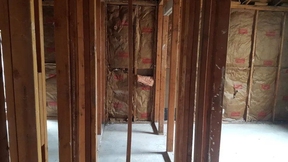 Complete Home Renovation by Blank Slate Builders - Photo 14