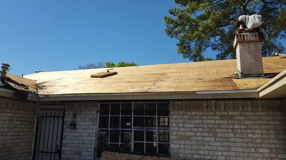 Blank Slate Builders - Photo 11