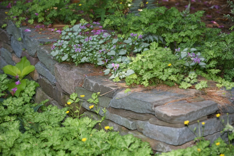 w2012 ALE: Backyard Stream Garden by Pennsylvania Landscape & Nursery Association - Photo 7